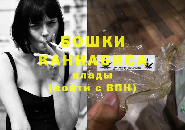 прущие грибы Абдулино