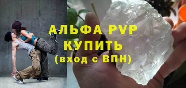 прущие грибы Абдулино