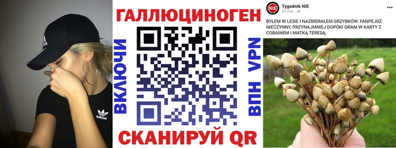 Галлюциногенные грибы GOLDEN TEACHER  наркота  Козловка 